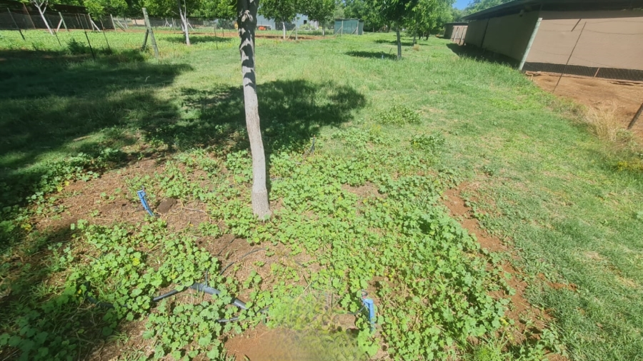 Commercial Property for Sale in Bainsvlei Free State